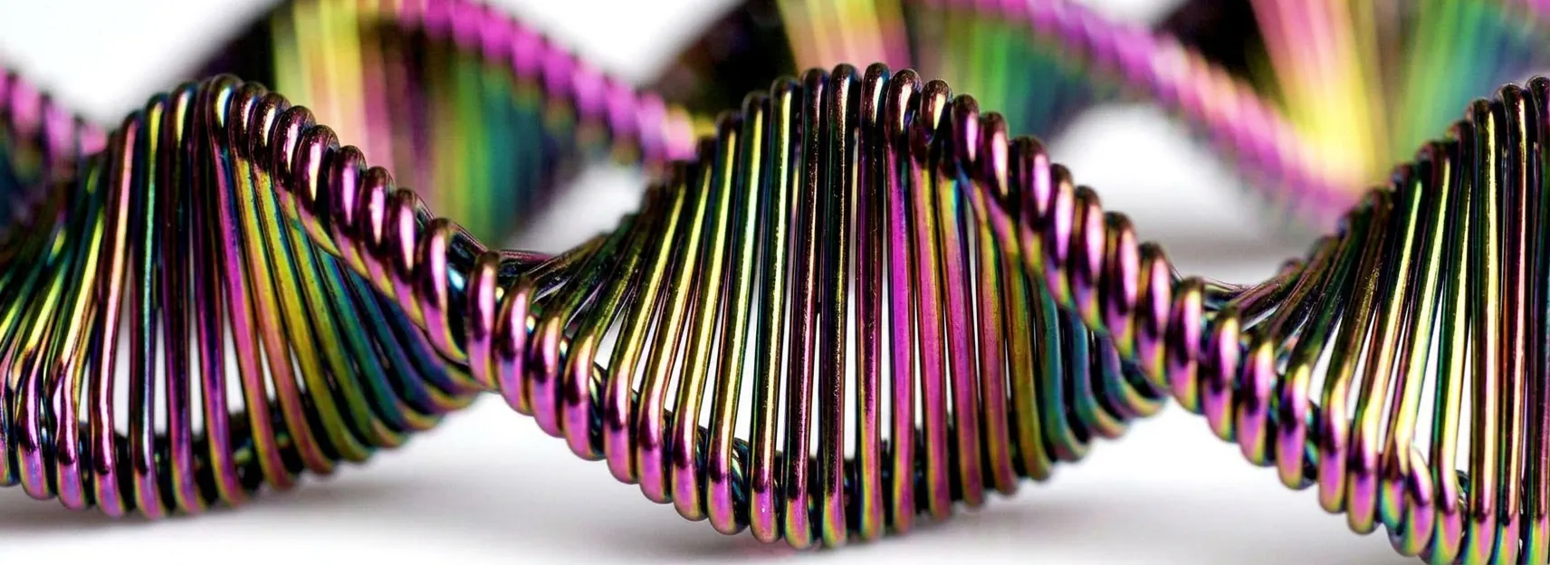 Team turns DNA into a rewritable hard drive
